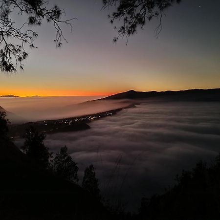 Uciek Tengger Bromo Ngadisari Ngoại thất bức ảnh