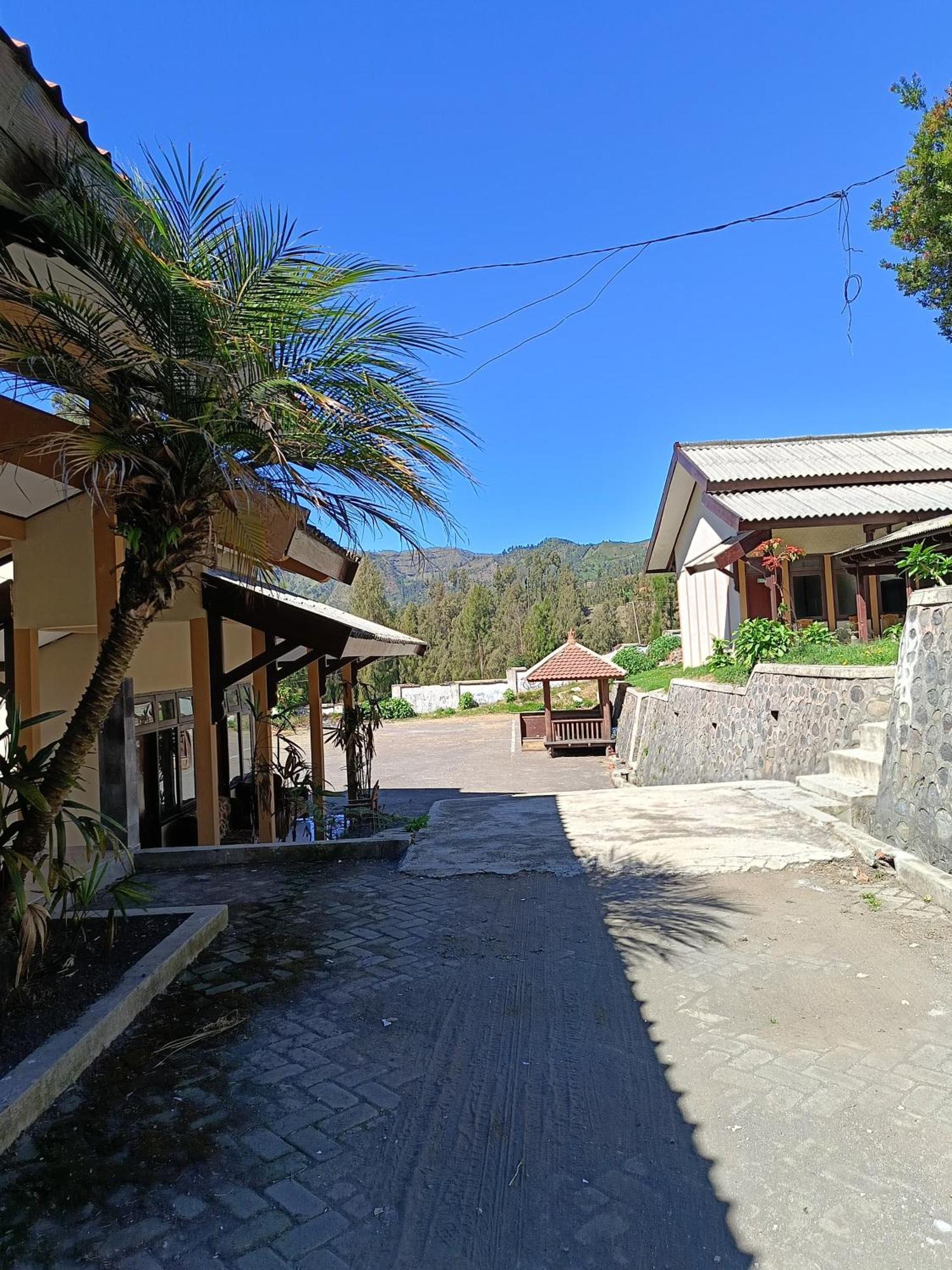 Uciek Tengger Bromo Ngadisari Ngoại thất bức ảnh